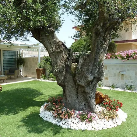 Sole E Mare Apartment